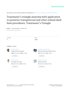 Trautmann`s triangle anatomy with application to