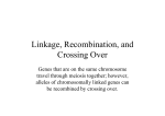 Linkage, Recombination, and Crossing Over