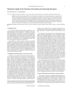Membrane Lipids in the Function of Serotonin and Adrenergic