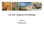 LB 144: Organismal Biology