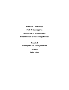 Molecular Cell Biology Prof. D. Karunagaran Department of