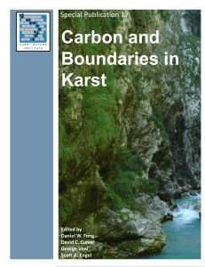 Carbon and Boundaries in Karst