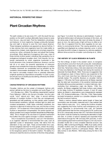 Plant Circadian Rhythms