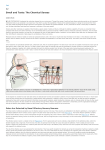 Smell and Taste: The Chemical Senses