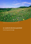20. Lowland calcareous grassland