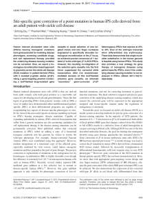 Site-specific gene correction of a point mutation in human iPS cells