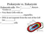 Cell Structure and Function Student Notes