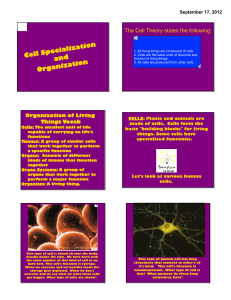 Cell Specialization and Organization