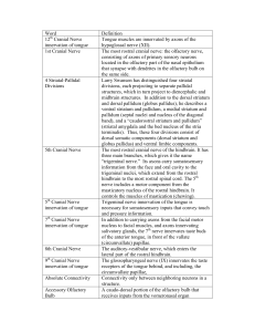 Word Definition 12 Cranial Nerve innervation of