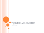 variation and selection