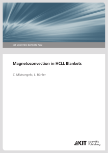 Magnetoconvection in HCLL Blankets