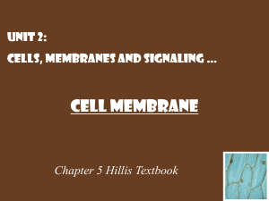 Cell Membranes and Signaling