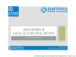 anatomy ii - Daytona State College