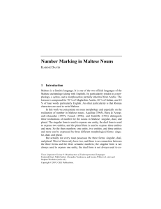 Number Marking in Maltese Nouns