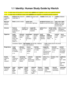 1.1 Identity: Human Study Guide by Hisrich