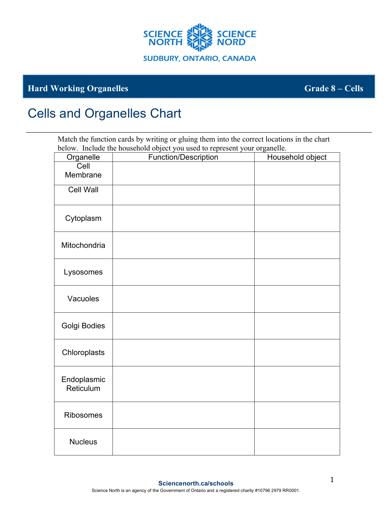 Organelle Chart