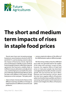 The short and medium term impacts of rises in staple food prices