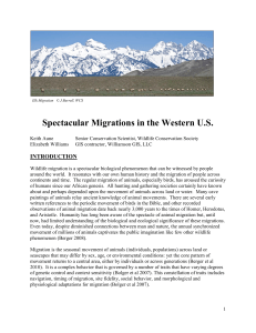 Spectacular Migrations in the Western US
