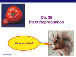 Plant Reproduction