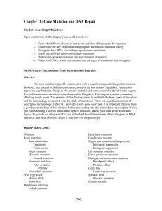 Chapter 18: Gene Mutation and DNA Repair