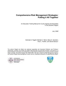 Risk Management Strategies