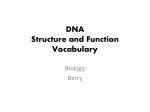 DNA Structure and Function Vocabulary