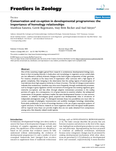 Conservation and co-option in developmental programmes: the