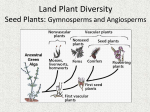 Lecture 6b Land Plants: Gymnosperms and