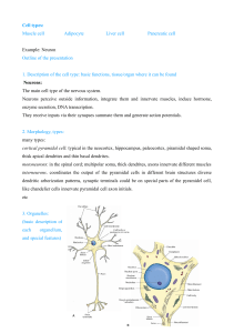 Cell types: Muscle cell Adipocyte Liver cell Pancreatic cell Example