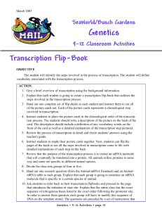 Transcription Flip-Book
