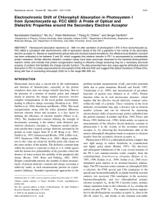 Electrochromic Shift of Chlorophyll Absorption in Photosystem I from