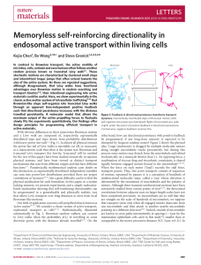 Memoryless self-reinforcing directionality in endosomal active
