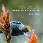 New Zealand Biodiversity Action Plan
