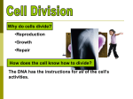 How does the cell know how to divide?