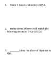 1. Name 4 bases (subunits) of DNA. 2. Write series of bases will