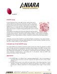 ELISPOT Assay - Description and Uses