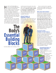 The Body`s Essential Building Blocks, Article by Gloria Gilbère, N.D.