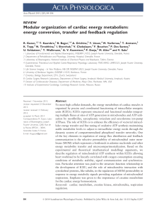 Modular organization of cardiac energy metabolism: energy