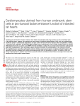 Cardiomyocytes derived from human embryonic stem cells in pro