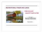 RECREATIONAL PONDS AND LAKES