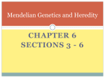 CHAPTER 6 SECTIONS 3