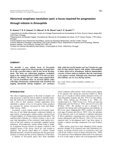 Abnormal anaphase resolution - Journal of Cell Science