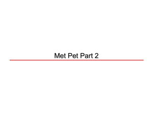 Met Pet Part 2