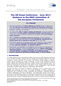 The UN Ocean Conference - June 2017, Guidance to the ENVI