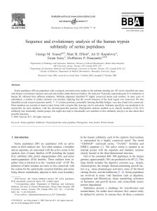 Sequence and evolutionary analysis of the human trypsin subfamily