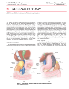 ACS Surgery: Principles and Practice