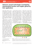 Advances around technologies investigating mitochondrial function