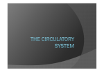 Thecirculatorysystem1[CompatibilityMode].