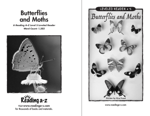 Butterflies Moths.AM.indd