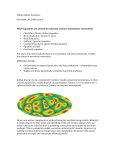 Whole Mantle Dynamics